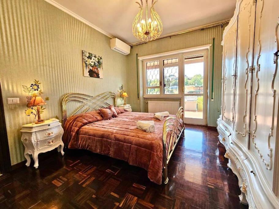 Bonelli Comfort
